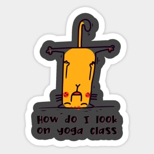 How do I look on yoga class funny yoga and cat drawing Sticker